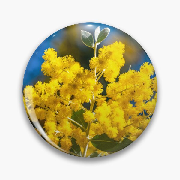 Item preview, Australian Golden Wattle (Acacia Pycnantha) designed and sold by rossacampbell.