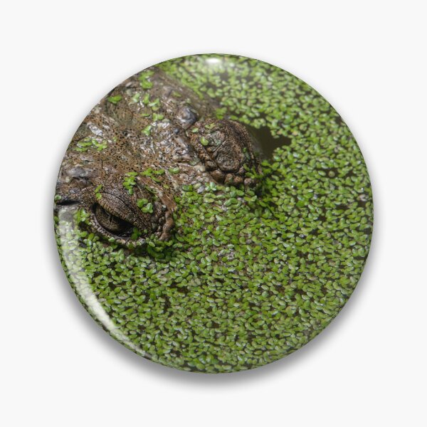 Item preview, Hiding designed and sold by Kate Powick.