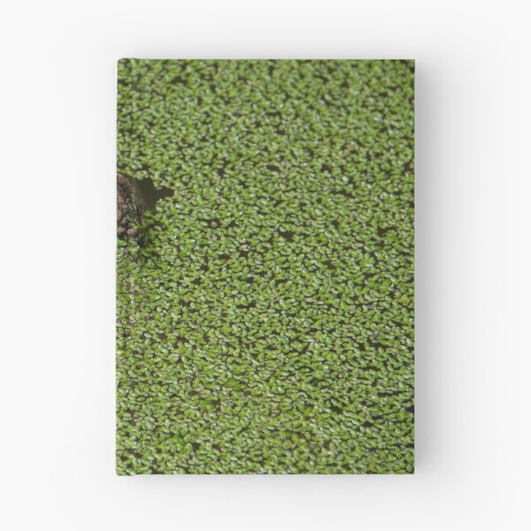 Item preview, Hiding designed and sold by Kate Powick.