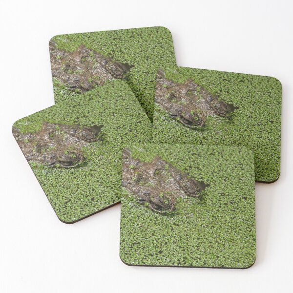Item preview, Hiding designed and sold by Kate Powick.