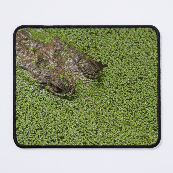 Item preview, Hiding designed and sold by Kate Powick.