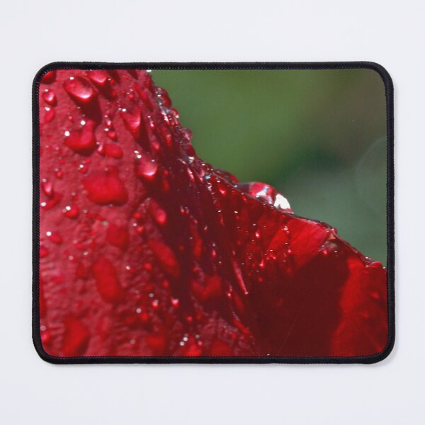 Item preview, Drenched Red Rose designed and sold by Robert Armendariz.