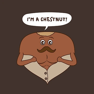 Artwork thumbnail, Chestnut by chyneyee
