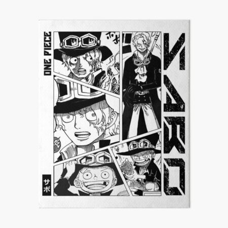 One Piece, Sabo  One piece comic, One piece manga, One piece meme