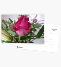 Rosebud - A beauty to unfold-Oct.2010, Spring Postcards