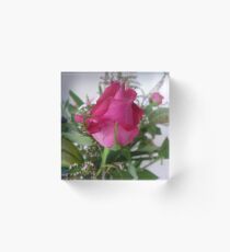 Rosebud - A beauty to unfold-Oct.2010, Spring Acrylic Block