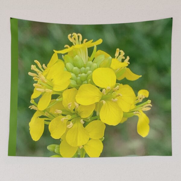Item preview, Yellow lampshade flower designed and sold by baksuart.