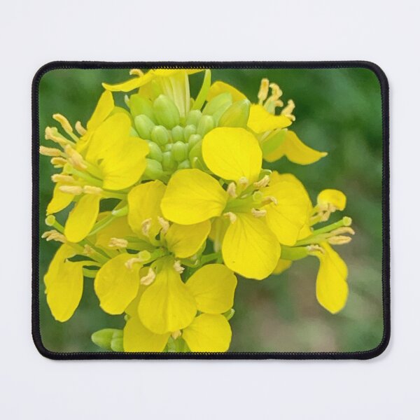 Item preview, Yellow lampshade flower designed and sold by baksuart.