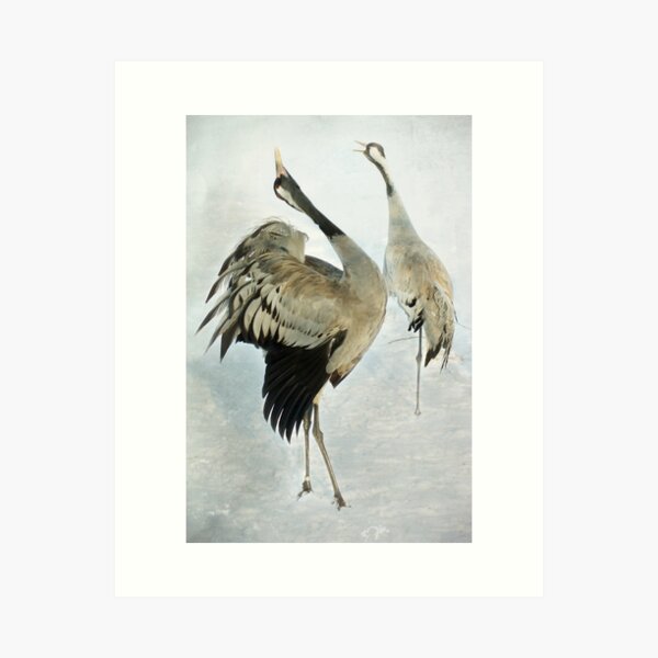 The Dance of the Cranes - 2 of 2 Art Print