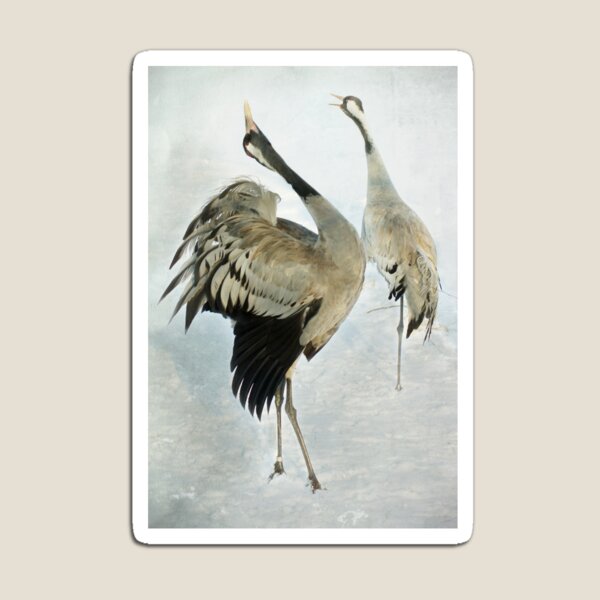 The Dance of the Cranes - 2 of 2 Magnet
