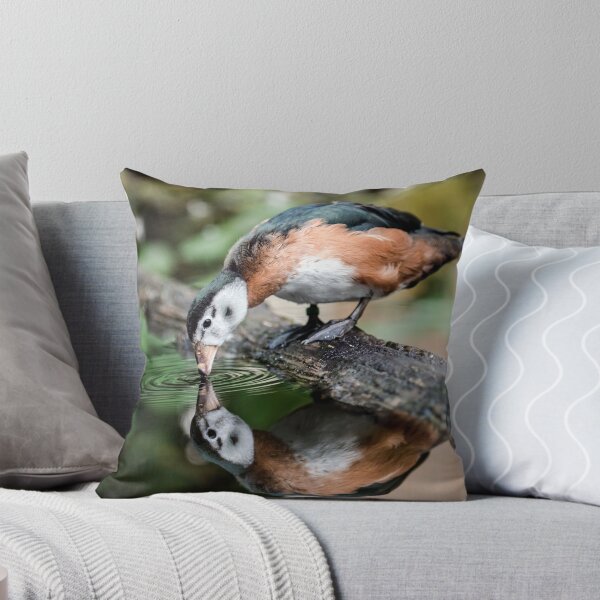 Item preview, African Pygmy Goose designed and sold by Paul Spear.