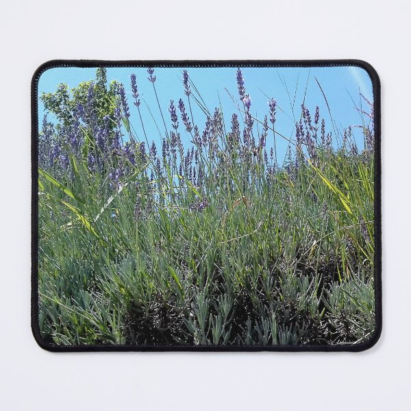 Item preview, Lavender meadow designed and sold by mariya-ivanova.