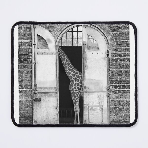 Item preview, Girafe Hiding designed and sold by ThonyperiNEy.