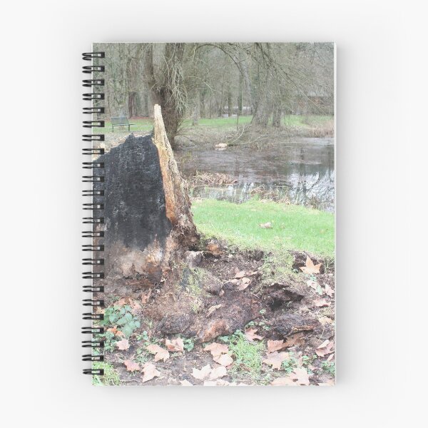 Item preview, Burnt tree designed and sold by Photomania World.