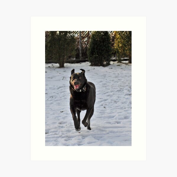 HAVING FUN Art Print