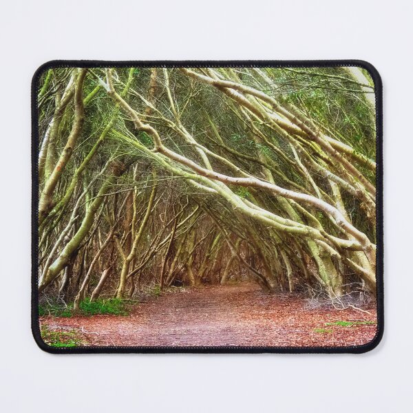 Item preview, Tunnel of Trees - Assateague Island, VA designed and sold by Kathy Weaver.