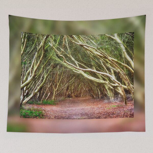 Item preview, Tunnel of Trees - Assateague Island, VA designed and sold by Kathy Weaver.