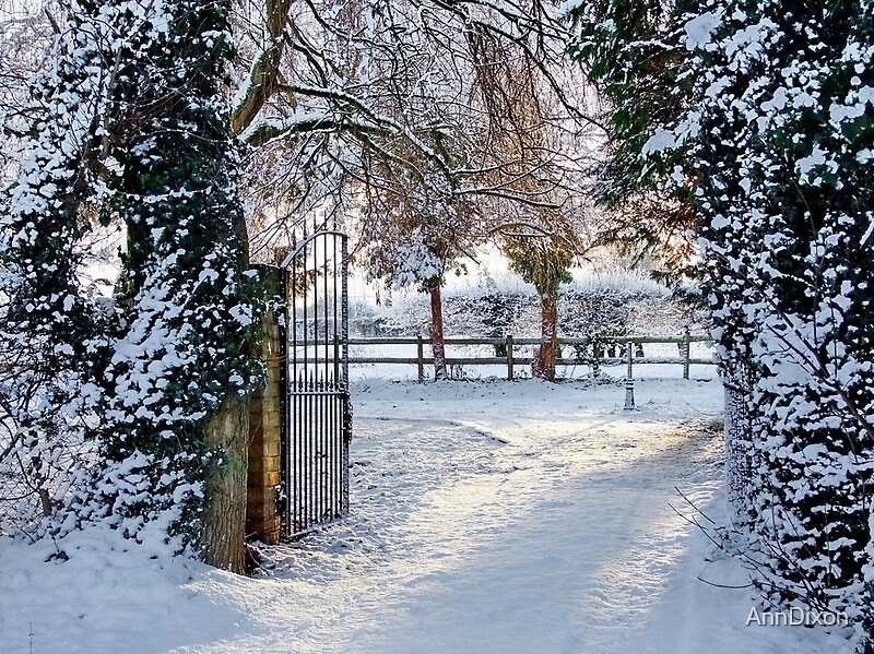 "On a Cold and Frosty Morning " by AnnDixon | Redbubble