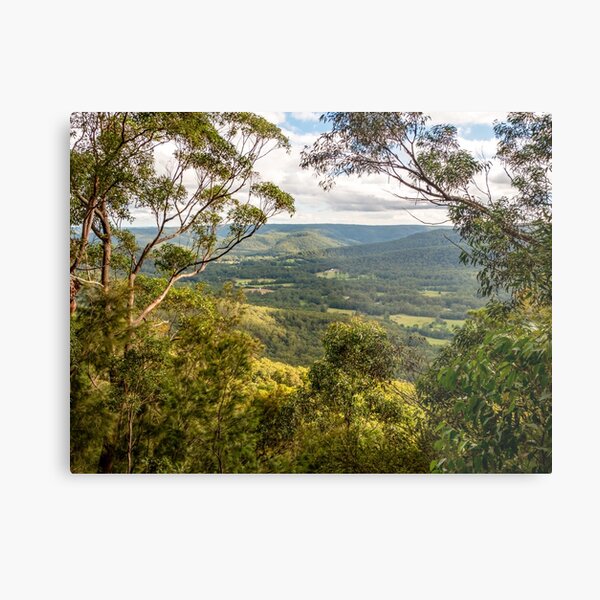 Item preview, Watagans National Park, NSW, Australia designed and sold by rossacampbell.