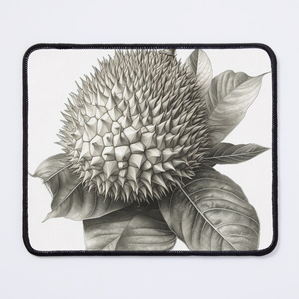 Item preview, Grayscale Botanical Illustration of Durian Fruit designed and sold by EmeraldeaArt.