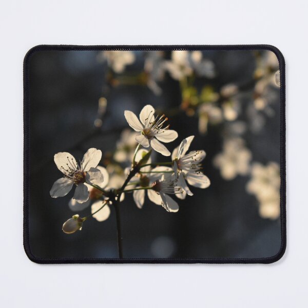 Item preview, Spring vibe cherry blossom designed and sold by mariya-ivanova.