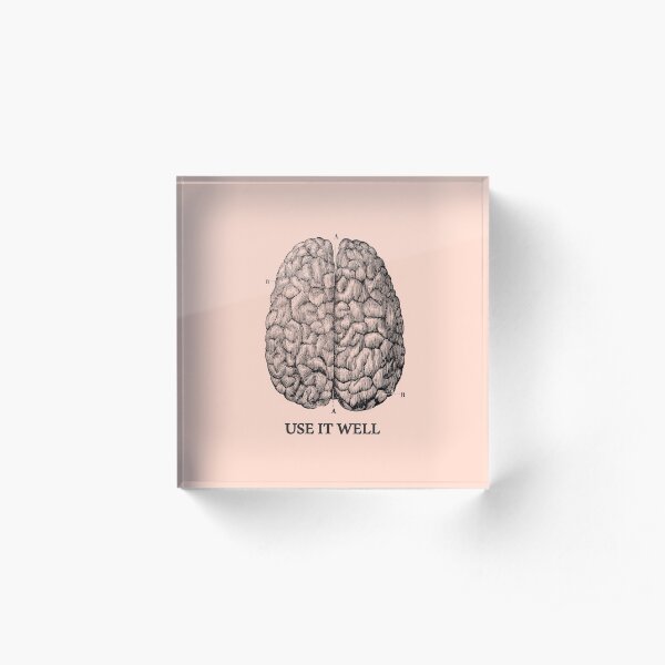Use it well - Brain Acrylic Block