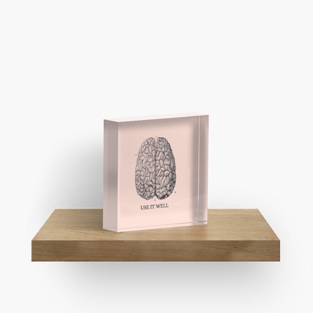 Use it well - Brain Acrylic Block
