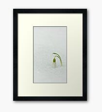Courage Framed Print