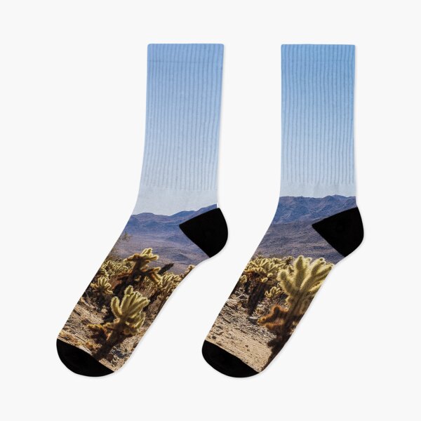 Item preview, Photo of Cholla Cactus at Joshua Tree National Park V1 designed and sold by Family Journey with God.
