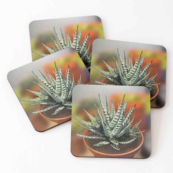 Item preview, Zebra plant designed and sold by Purplepugprints.