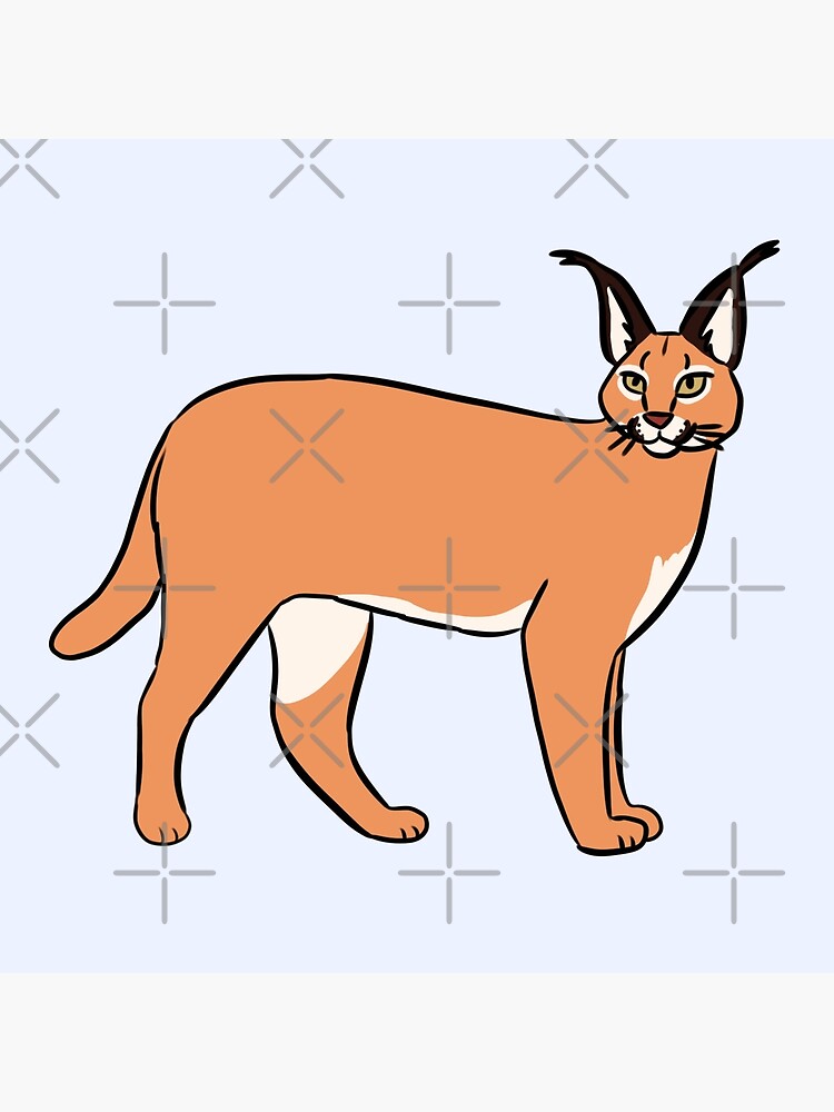 Cute caracal illustration Art Board Print for Sale by