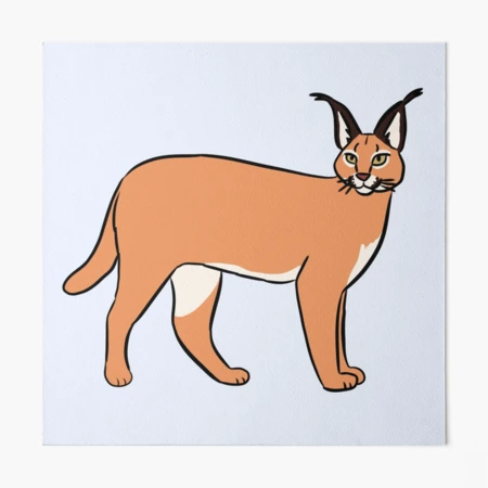 Caracal_Web.jpg?v=1698000457