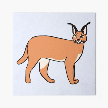 gbrf,8x8,f,540x540-pad,450x450