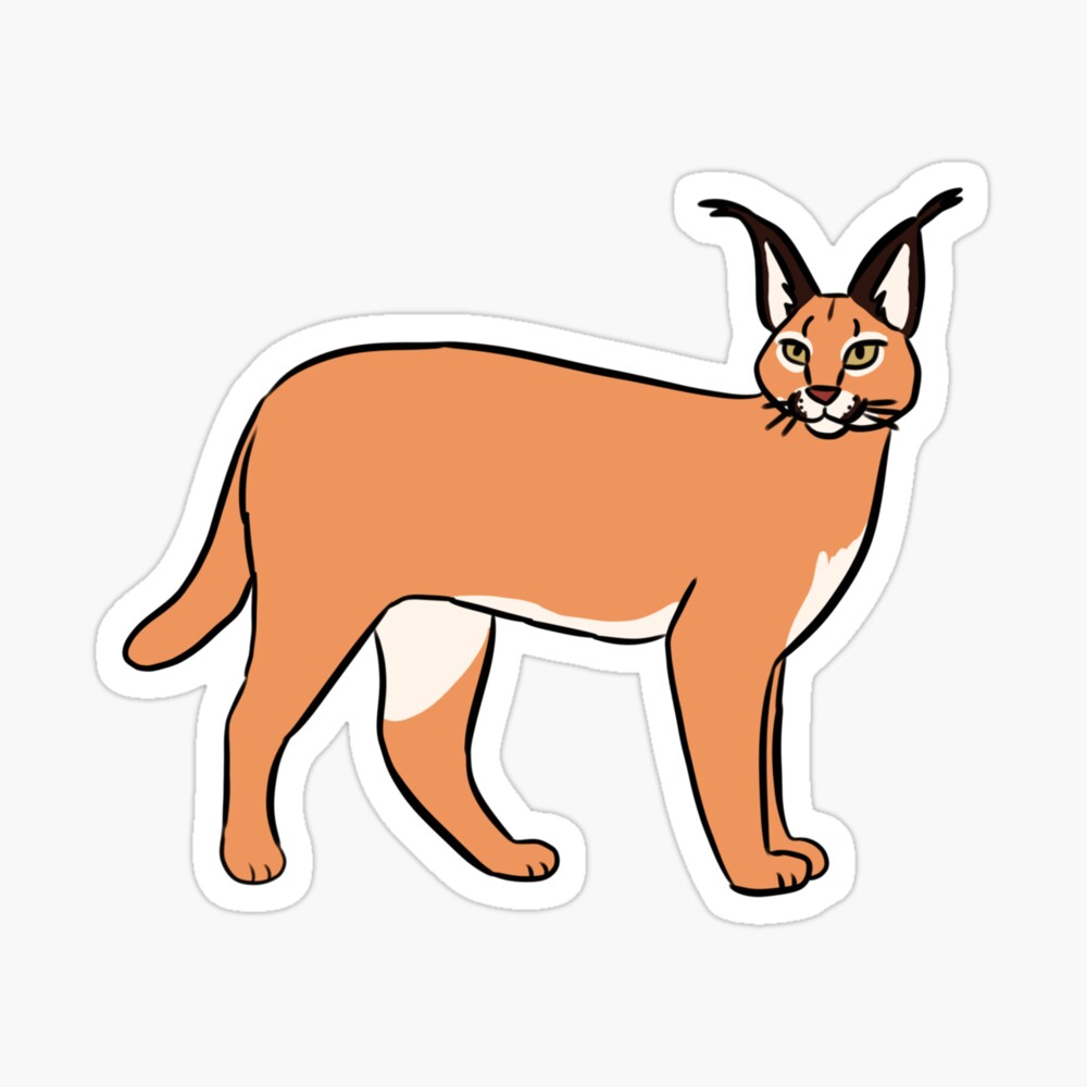 信州まなぶ ポスター Caracal Artwork carp,x_large,product,750x1000.