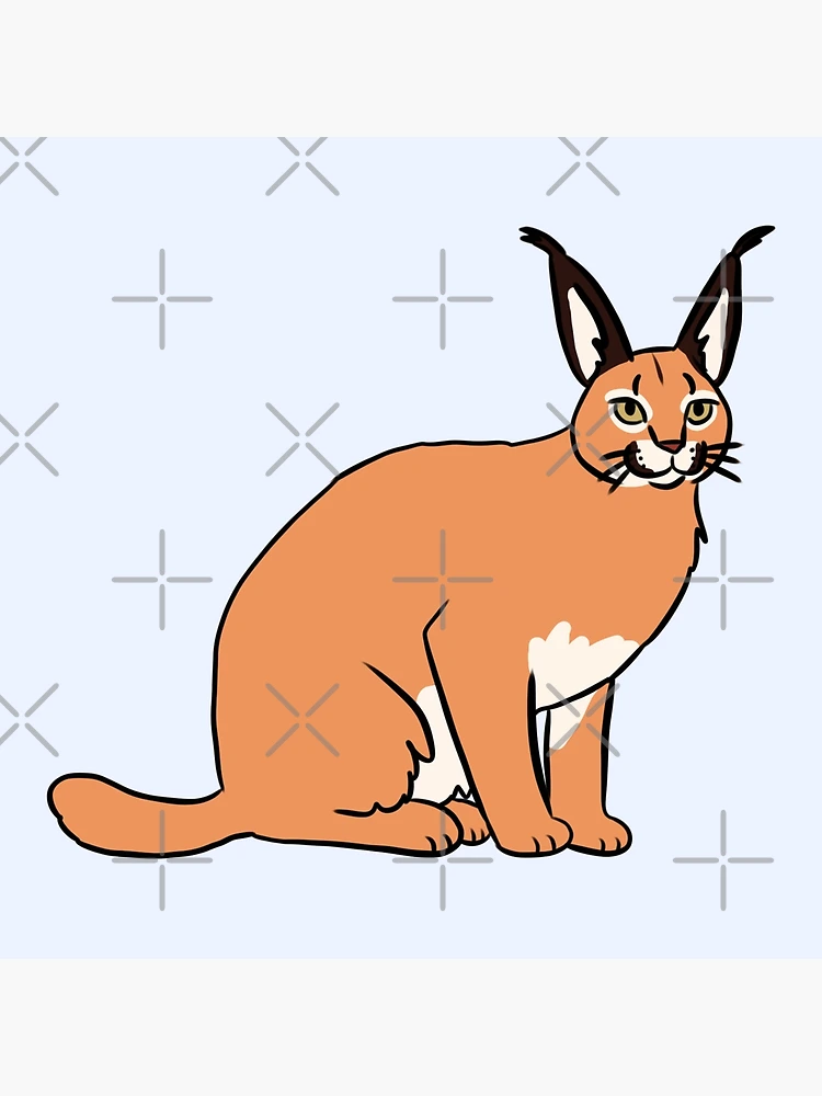 信州まなぶ ポスター Caracal Artwork 24503543@600-1502920792.jpg