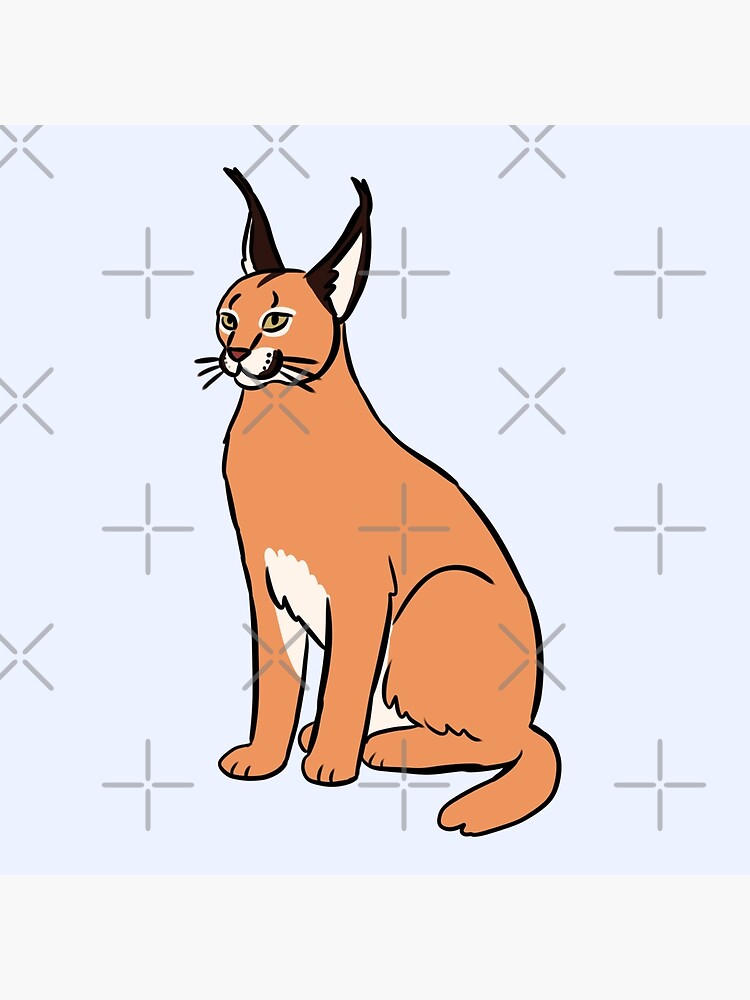 FLOPPA CAT \ CARACALS / GOOD AT MATH Art Board Print for Sale by Mad-Boy