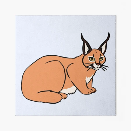 FLOPPA CAT \ CARACALS / GOOD AT MATH Art Board Print for Sale by Mad-Boy