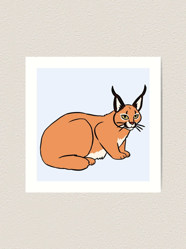 farp,small,wall_texture,