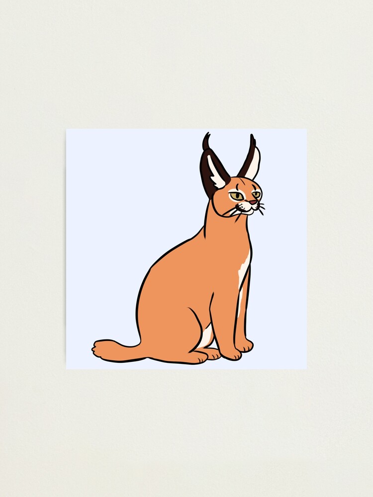 Cute caracal illustration 