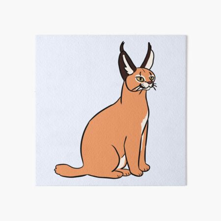 FLOPPA CAT \ CARACALS / GOOD AT MATH Art Board Print for Sale by Mad-Boy