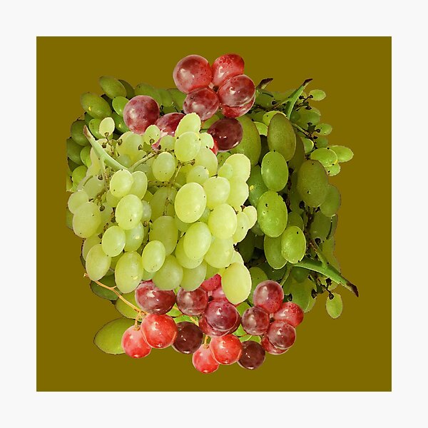 Item preview, GREEN & RED GRAPES HARVEST designed and sold by sharlesart.