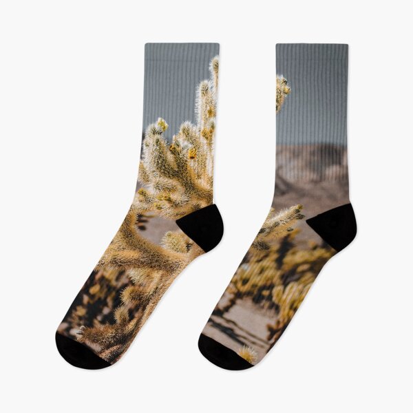 Item preview, Cholla Cactus Photo from Joshua National Tree Park V2 designed and sold by Family Journey with God.