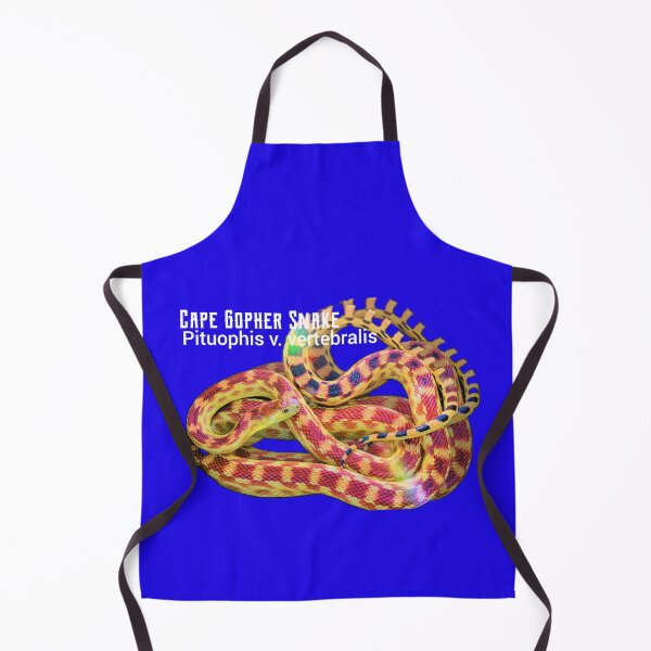Item preview, Cape Gopher Snake Pituophis v vertebralis designed and sold by StrangeFetish.