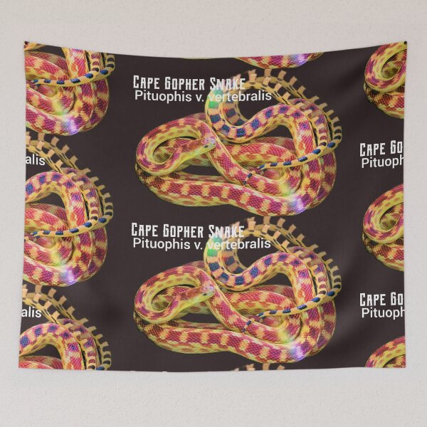Item preview, Cape Gopher Snake Pituophis v  vertebralis  designed and sold by StrangeFetish.