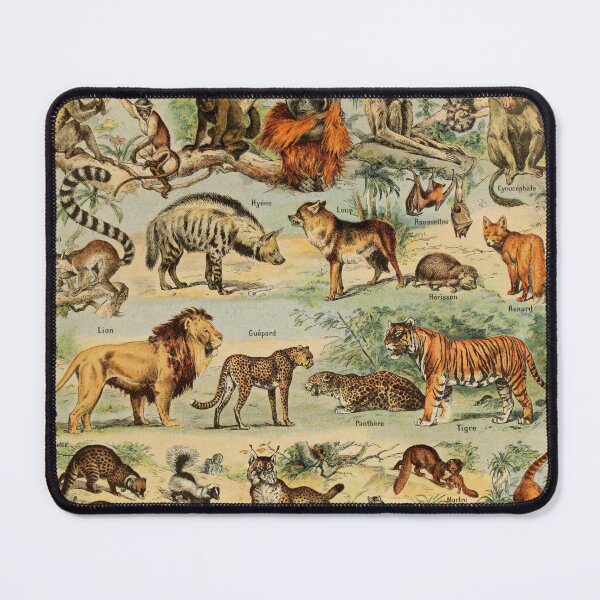 Item preview, Mammals (1907-1910) - Le Larousse pour tous designed and sold by SALON DES ARTS.