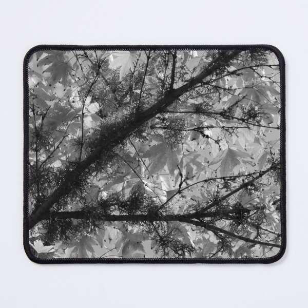 Item preview, Acer Palmatum Vertical Black and White Nature Lovers designed and sold by eddiebarronshop.