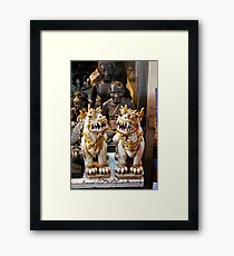 The twins - handsome little dragons Framed Print