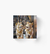 The twins - handsome little dragons Acrylic Block