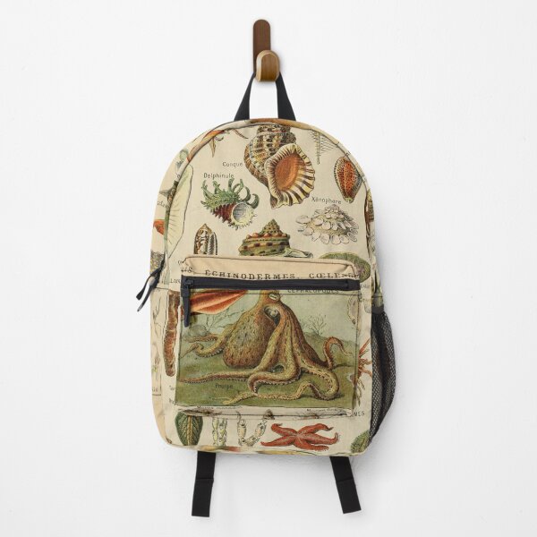 Item preview, Molluscs (1907-1910) - Le Larousse pour tous designed and sold by SALON DES ARTS.