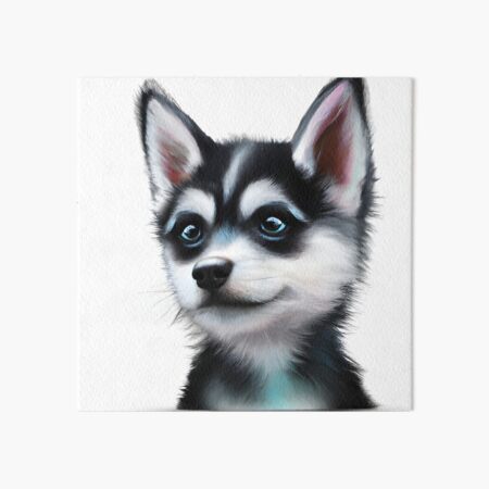 AI generative Alaskan Klee Kai breed dog isolated on a white background  27537240 Stock Photo at Vecteezy
